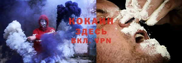 индика Зеленокумск
