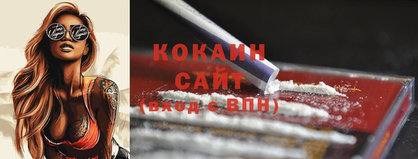 индика Зеленокумск