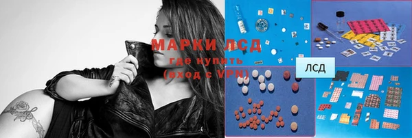 индика Зеленокумск