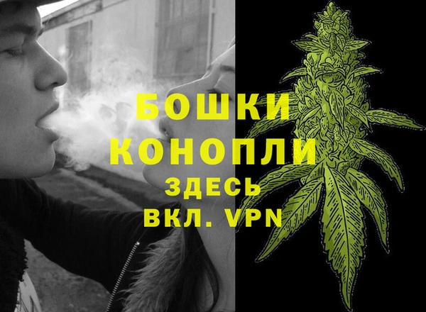 индика Зеленокумск