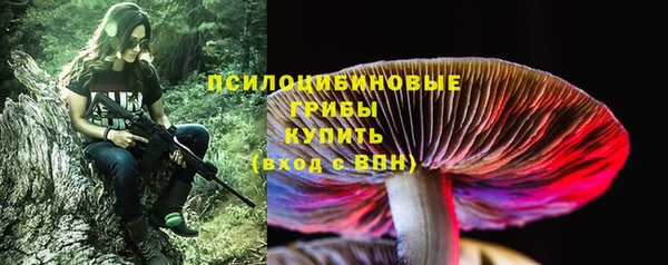 индика Зеленокумск