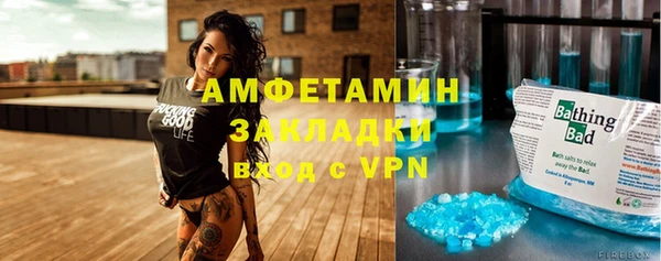 индика Зеленокумск