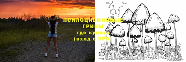 тгк Зеленодольск