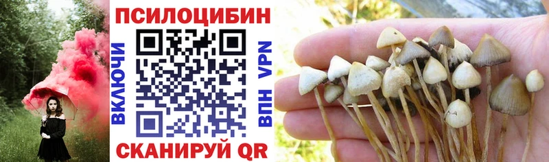 Галлюциногенные грибы Magic Shrooms  Купить  Кедровый 